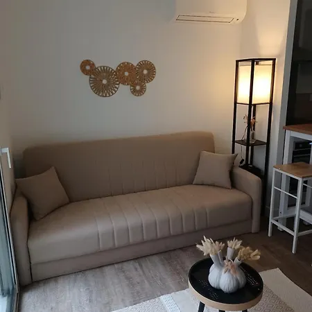 Le Doudou, T2 Avec Terrasse Et Climatisation